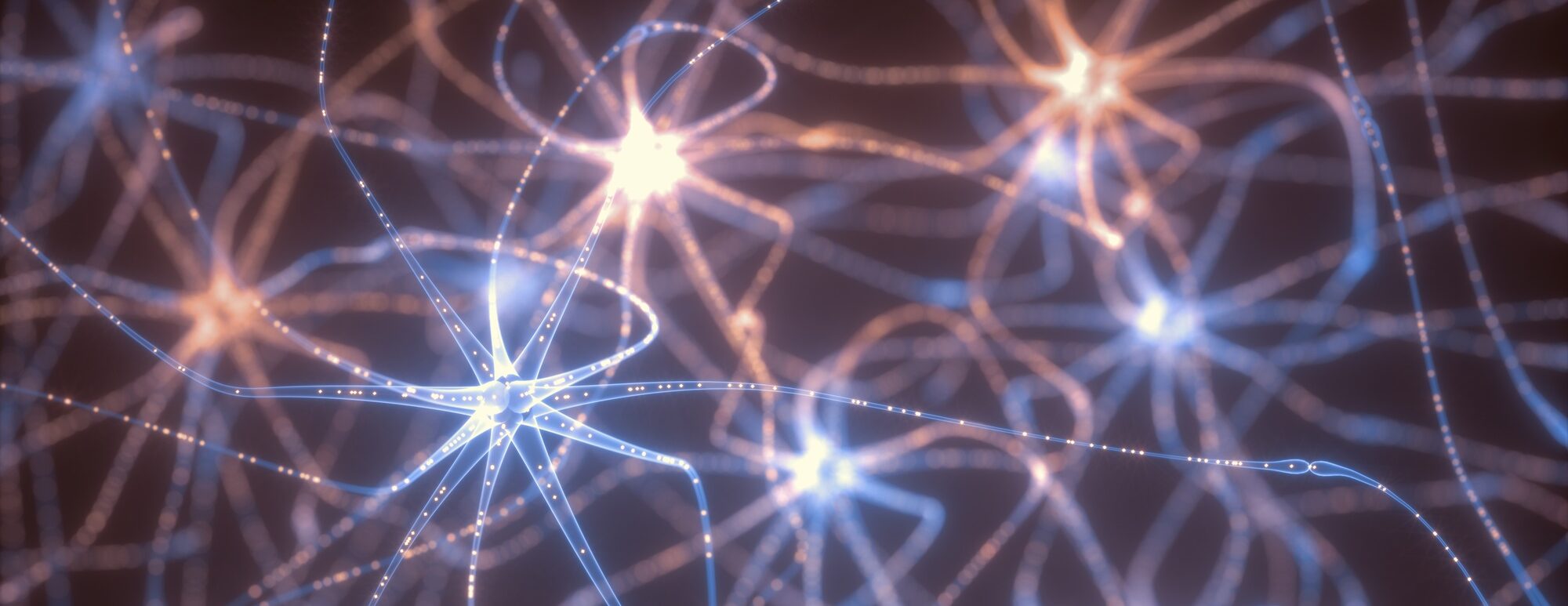 AI Agents and Neural Networks